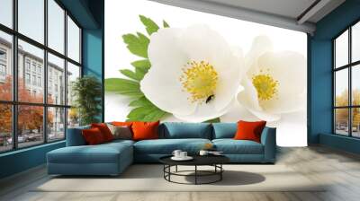 Two white flowers. Wall mural