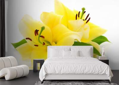 Two yellow lilies. Wall mural