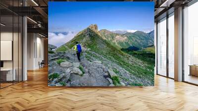 Hiker reaching a pass in the Ecrins National Park, french Alps Wall mural