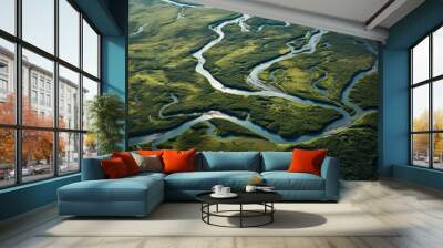 An aerial perspective of a serpentine river winding through the landscape presenting a minimalist and dynamic watercourse  AI generated illustration Wall mural