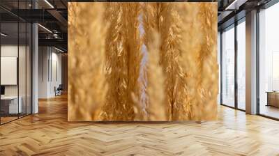 Golden wheat Wall mural