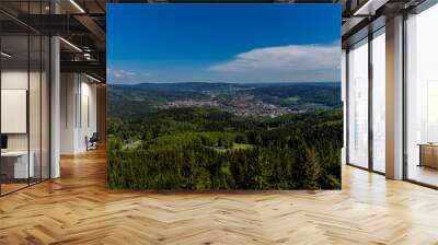 Wandern auf den Ruppberg mit Blick nach Zella-Mehlis im Thüringer Wald - Thüringer Wald / Deutschland Wall mural