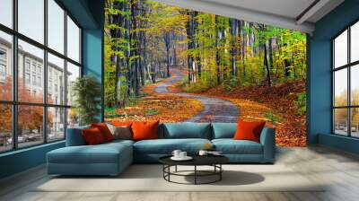 Long footpath winding through gorgeous colorful forest in autumn Wall mural