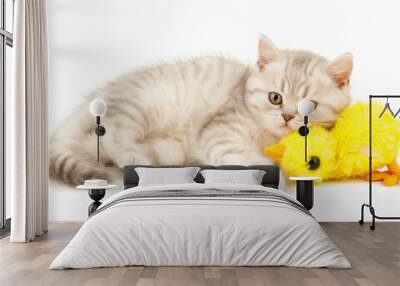 A  kitten resting on top of a fluffy chicken plush toy, captured on a minimalist, semi-transparent white background for a heartwarming Wall mural