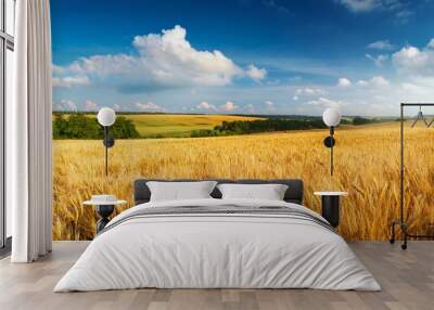 beautiful landscape with field of ripe rye and blue summer sky Wall mural