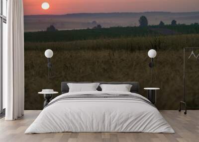 Beautiful sunrise in the field Wall mural