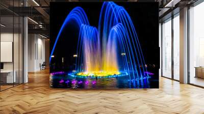 Colored water fountain at night Wall mural