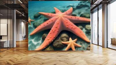 red starfish on the beach under the water with smooth sand and rocks Wall mural