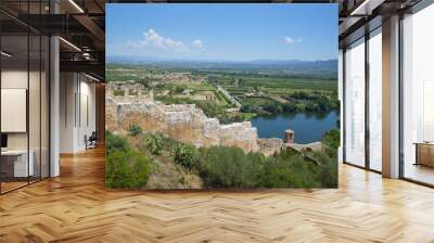 View of Miravet, Tarragona, Spain Wall mural