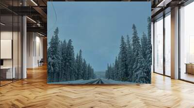 winter in the forest Wall mural