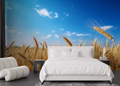 Yellow agriculture field with ripe wheat and blue sky with clouds over it. Field of Southern Ukraine with a harvest. Wall mural