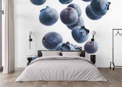 Ripe blueberries descending gracefully isolated on white background, full depth of field, transparent png background Wall mural