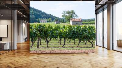 Vue sur les vignes de malbec à Luzech, vignoble de Cahors, Lot, Sud ouest, France Wall mural