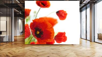 floral design, decoration flowers, poppies border - corner Wall mural