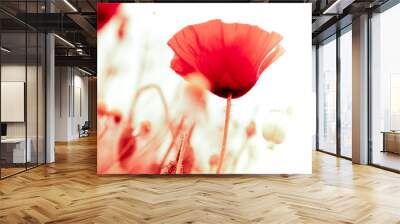 floral design, decoration flowers, red poppies - angle of page Wall mural