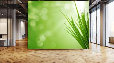 green background Wall mural