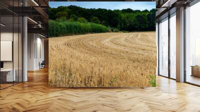 Vue d'un champ de blé fraichement coupé au bord de la forêt avec les raynures dessinées sur le sol Wall mural