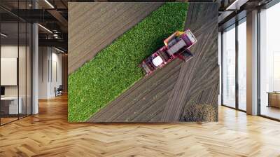 Farmers harvest sugar beet in a country field. Sugar beet harvest with a Sugarbeet harvester an agricultural machine. Wall mural