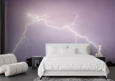 Lightning is a naturally occurring electrostatic discharge during which two electrically charged regions in the atmosphere or ground temporarily equalize themselves. Wall mural