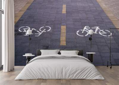 Two bike paths on the road in different directions Wall mural