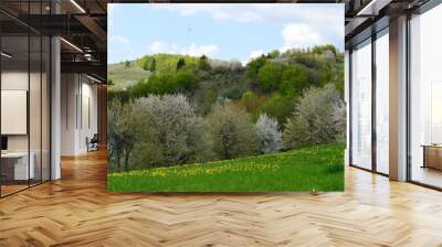 spring landscape on the mountain Wall mural