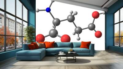 molecular structure of glutamic acid isolated on white Wall mural