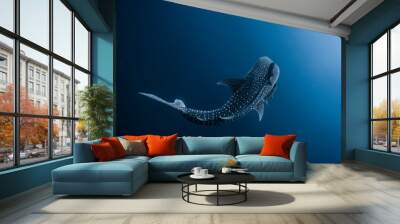 Juvenile Whale Shark Swimming Wall mural