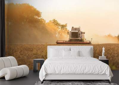 Harvester in wheat field Wall mural