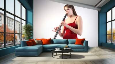 clarinet Wall mural