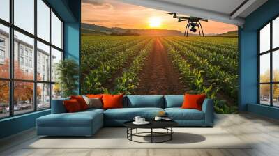 Drone surveying cornfield at sunset in rural farmland Wall mural