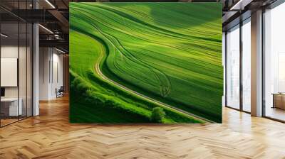 Aerial view of rolling green fields showcasing beautiful curves and textures. Nature harmonizes with agriculture in this stunning landscape image. Generative AI Wall mural