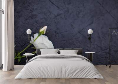 White rose border on black background Wall mural