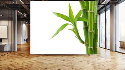 bamboo Wall mural