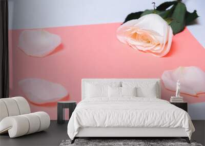  rose on a color paper  as a background. valentine's day celebration and eighth march concept Wall mural