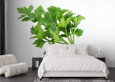 Parsley isolated on a white background Wall mural