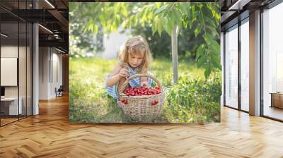 Little girl with a basket full of ripe and fresh red sweet cherries in the orchard on a sunny summer day Wall mural