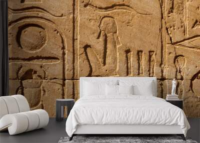 Ancient egyptian hieroglyphs on the wall in Karnak Temple Complex in Luxor, Egypt Wall mural