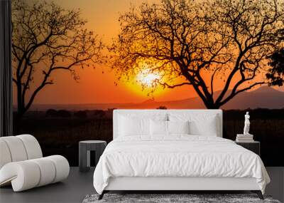 Beautiful african sunset over savannah in Tanzania Wall mural