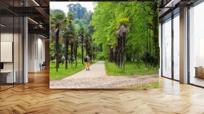 Beautiful view of the Batumi botanical garden, Georgia Wall mural