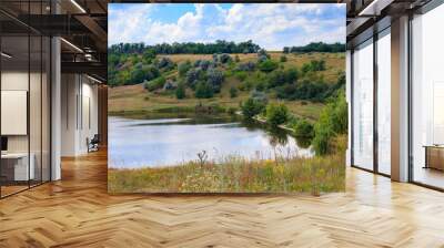 Summer landscape with beautiful lake, green meadows, hills, trees and blue sky Wall mural