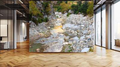 View of a mountain river in Kesme Bogaz canyon, Antalya province in Turkey Wall mural