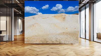 View of the white sand hills Wall mural