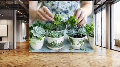 Female hands planting succulents
 Wall mural