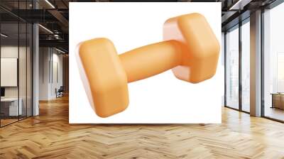 3d dumbbell icon, fitness equipment Wall mural