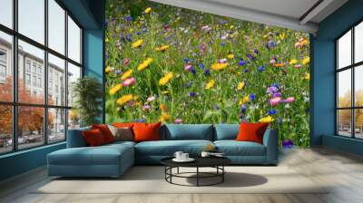 Different types of flowers in green field with variety of colors. Wall mural