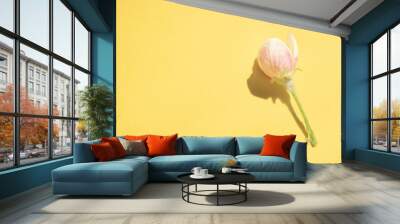 Floral spring background. Beautiful pink closed fresh flower of apple tree on yellow table Wall mural