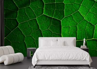 Close-up view of the pattern of the green leaf Wall mural