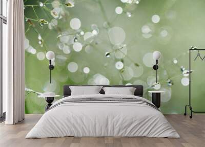 Twinkling on the top of the grass in the morning Wall mural