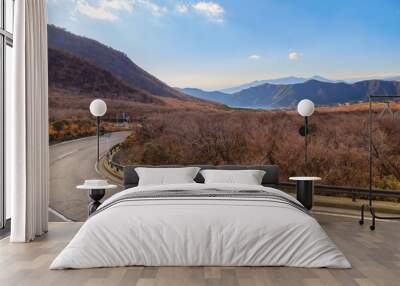 View of Mountain at owakudani, sulfur quarry in Hakone, Japan Wall mural