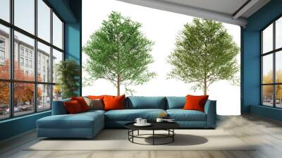 Two Isolated Green Trees on Transparent Background, 3D Render Wall mural